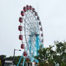 초양도 대관람차 이미지