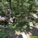 상원사샘터 이미지