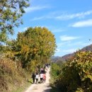 반디민박 이미지