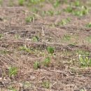 곰치2농장 이미지