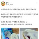 굿아이스크림할인점 이미지
