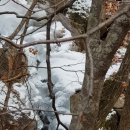 하백목장 이미지