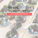 합천자원 | 대구 업사이클링 발포세라믹 크리스마스 솔방울 미니정원 자원봉사단원 단체출강 후기