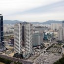 조정하는조정호