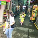 솔밭왓앤와이유치원 이미지