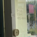 미드나잇핑크 이미지