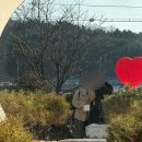 지내고탄로 이미지