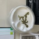 오늘오후 | 오랜만입니다 ^^.. 오늘 오후 토플 후기