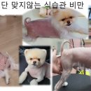 꽃피우개 이미지