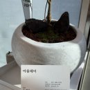 48헤어샾