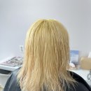 아라헤어 이미지