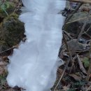 추운 겨울산 산행(느타리 버섯) 이미지