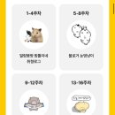 오늘의버터씨