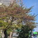 가-63 | 여의도 63빌딩 한화생명 고객 무료 건강검진 후기