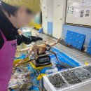 소래포구 해심수산 킹크랩 내 돈 내산 후기