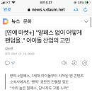 "알페스 없이 어떻게 팬덤을.." 아이돌 산업의 고민 이미지