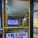 지투존 오락실 이미지