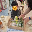 리프패럿 롯데마트 광복점 이미지