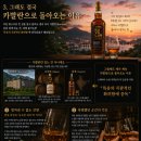 베어락 스트렝스 짐 | "내 최애 위스키, 카발란 완벽정리 ㅣ 종류·가격·맛까지 솔직 후기"