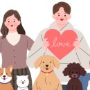 이동섭 | 훈련사가 추천하는 부산 동물 병원