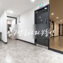 금나라공인중개사사무소 이미지