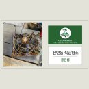 신연동 네이버블로그