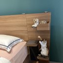 나성동_에스제이타워앞BRT | 세종 침대 고민이라면? 세종 나성동 에이스침대 신규 매장 다녀왔어요 🛌✨