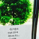 드림트리 이미지