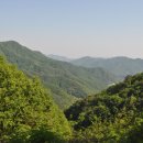 산천초목 이미지
