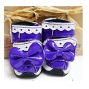 도기스쿨 이미지