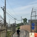 경기둘레길 4코스 Ⅰ 남편이 따준 길거리 간식