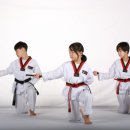 무림태권도장 이미지