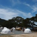 북캠프지오 이미지