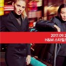 (주)스타100 이미지