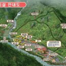 자연에서 이미지