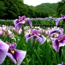 옹달샘분수 이미지