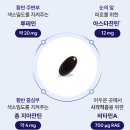 e비전케어 | 눈영양제 추천 루테인 지아잔틴 아스타잔틴까지, 나우케어 비전스타