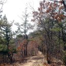 대전둘레산길(1구간) 이미지