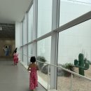 만덕이네 16일차 장안보말칼국수, 스누피가든, 표선해수욕장, <b>만덕이네</b> 두루치기정식, 산책