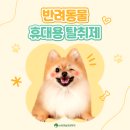 아라펫 이미지