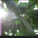 하은농원 이미지