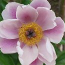 고덕농장 이미지