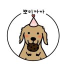 남구-104 | 광주 남구 진월동 수제애견간식 뽀미까까 방문 후기