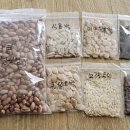 손주들농장 이미지