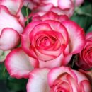 예담산부인과의원 이미지