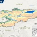 콕투스 네이버블로그
