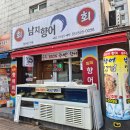 동래횟집 남지향어 서원시장 향어회 맛집 추천 솔직후기
