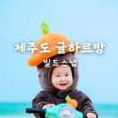 빌드스냅