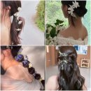 W5. 헤어변형 엘루스제이 계약 후기