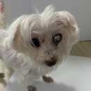 헤브어굿데이 이미지